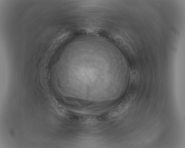 X0000111201249200907221123