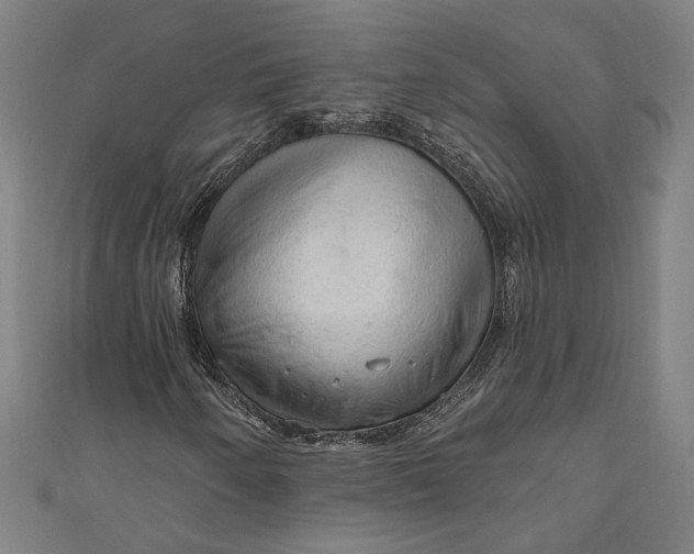 X0000111201250200907221123