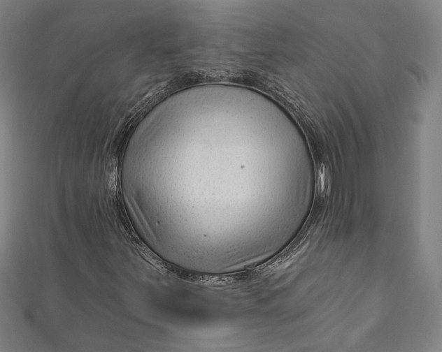 X0000111201251200907221123