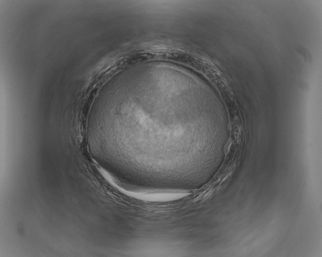 X0000111201253200907221123