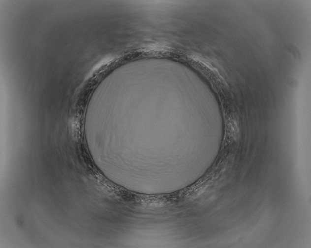 X0000111201254200907221123