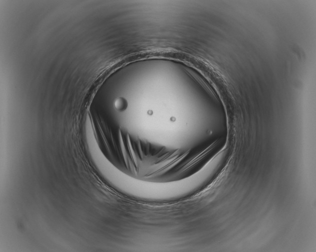 X0000111201257200907221123