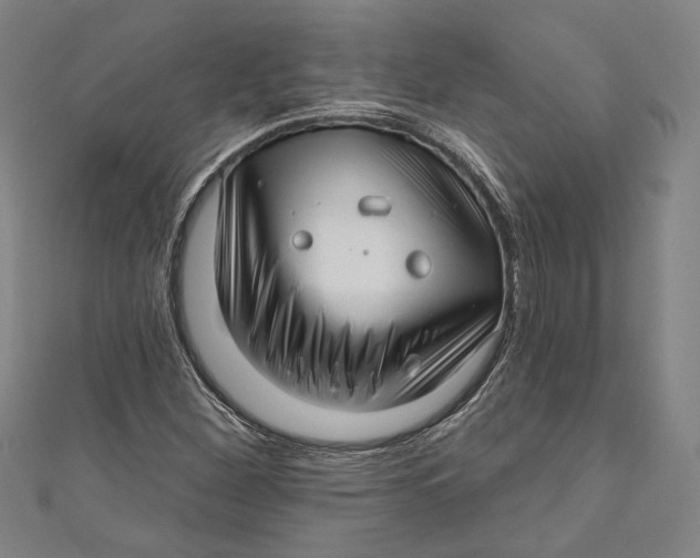 X0000111201260200907221123