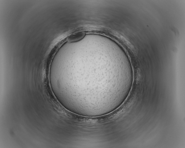 X0000111201261200907221123