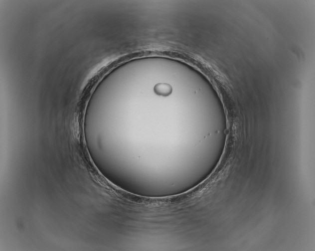 X0000111201262200907221123