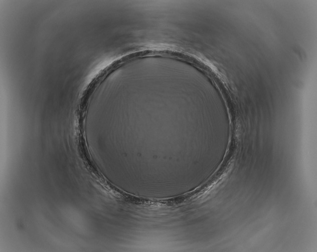 X0000111201263200907221123