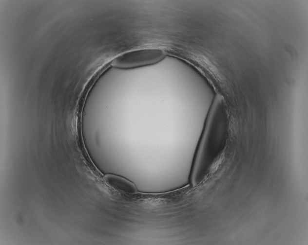 X0000111201268200907221122