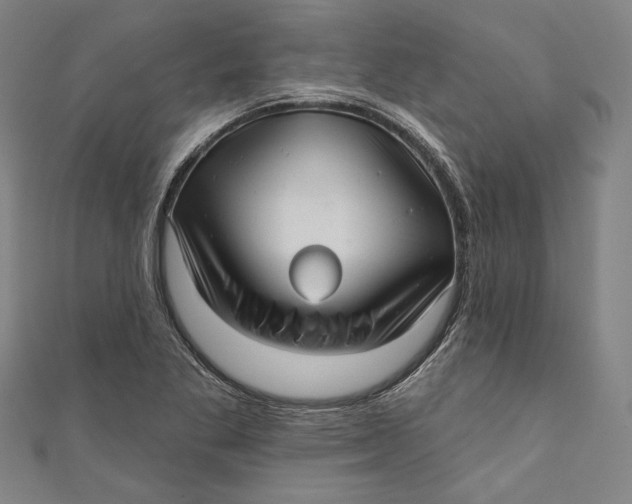 X0000111201269200907221122