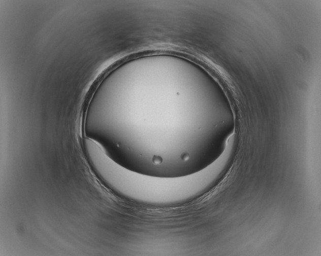 X0000111201272200907221122