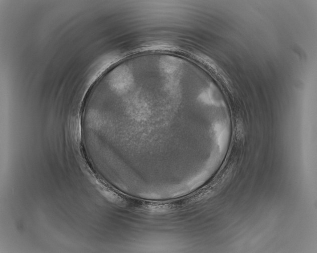 X0000111201274200907221122