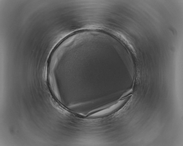 X0000111201276200907221122