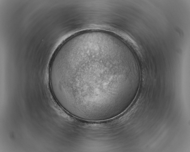 X0000111201280200907221122