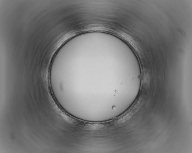 X0000111201282200907221122