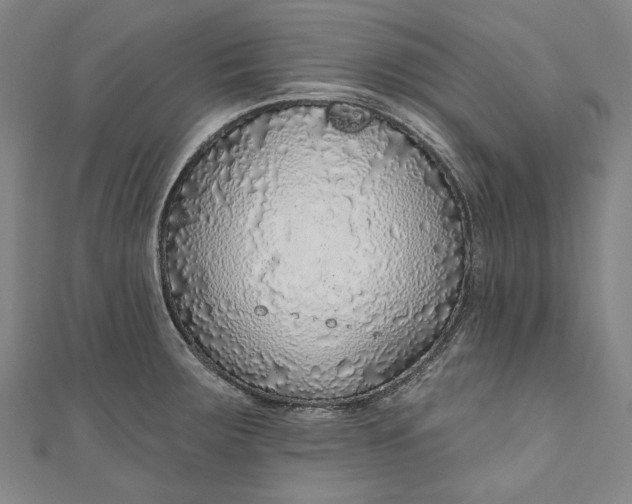 X0000111201283200907221122