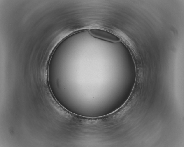 X0000111201284200907221122