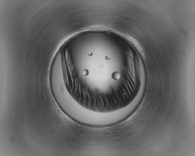 X0000111201288200907221122