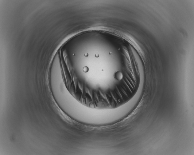 X0000111201292200907221122