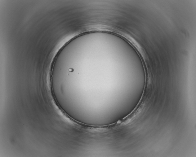 X0000111201293200907221122