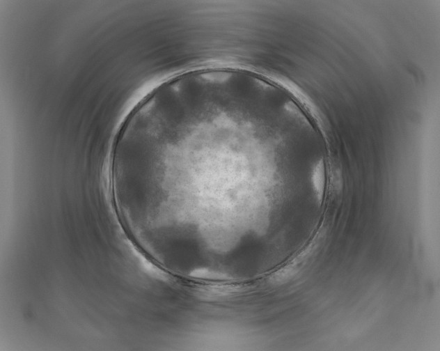 X0000111201294200907221122