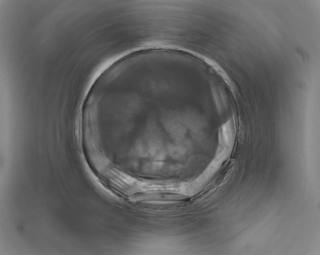 X0000111201295200907221122