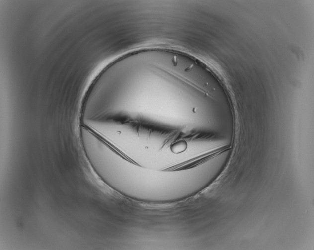 X0000111201296200907221122