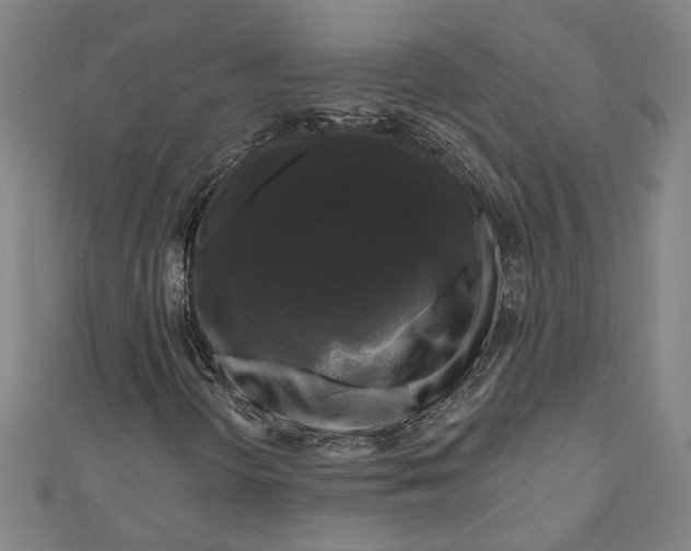 X0000111201298200907221121