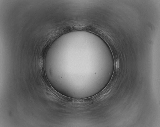 X0000111201299200907221122