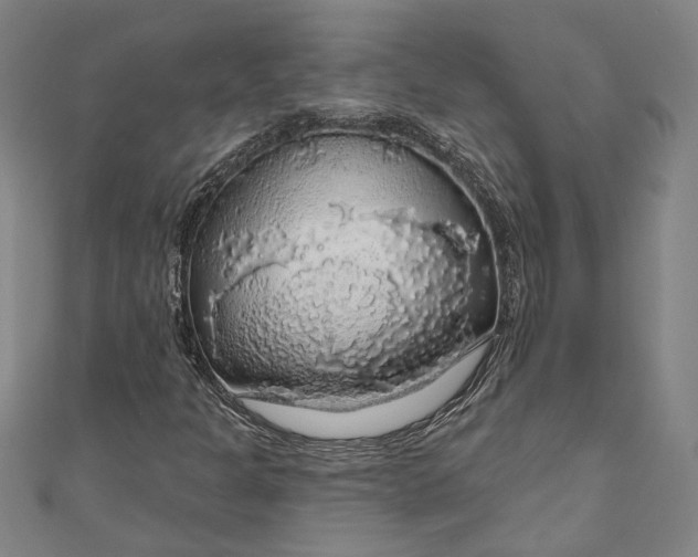 X0000111201301200907221122