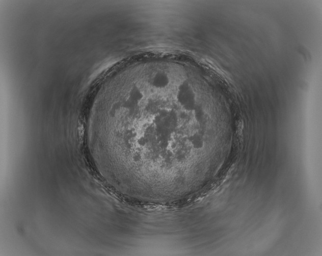 X0000111201302200907221122