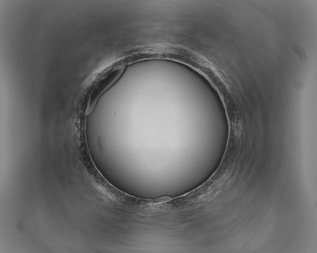 X0000111201304200907221122