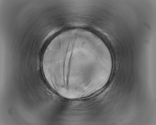 X0000111201306200907221122