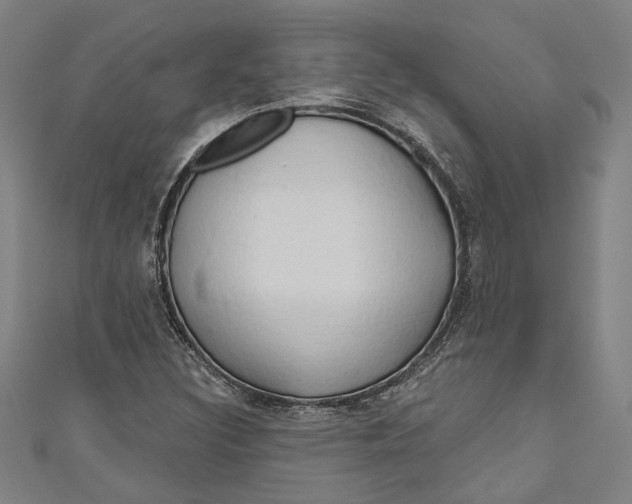 X0000111201308200907221122