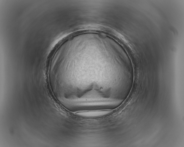 X0000111201312200907221122