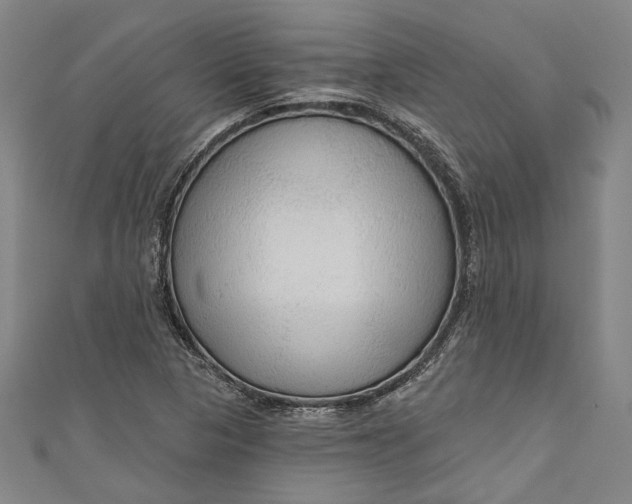 X0000111201313200907221122