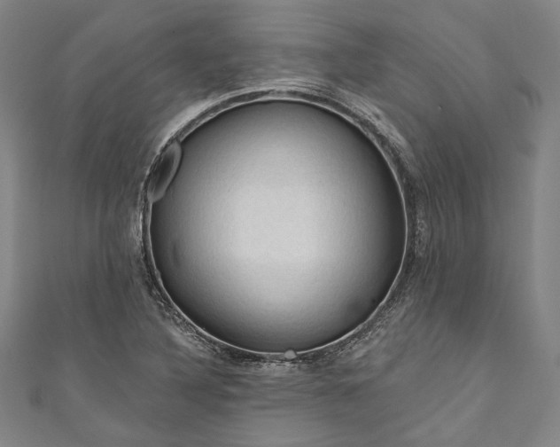 X0000111201316200907221122