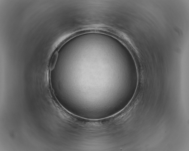 X0000111201320200907221122