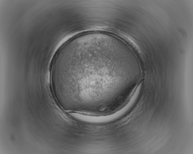 X0000111201324200907221122