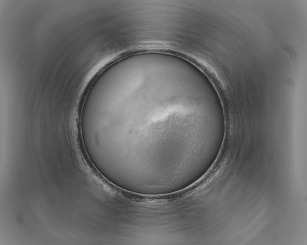 X0000111201325200907221122