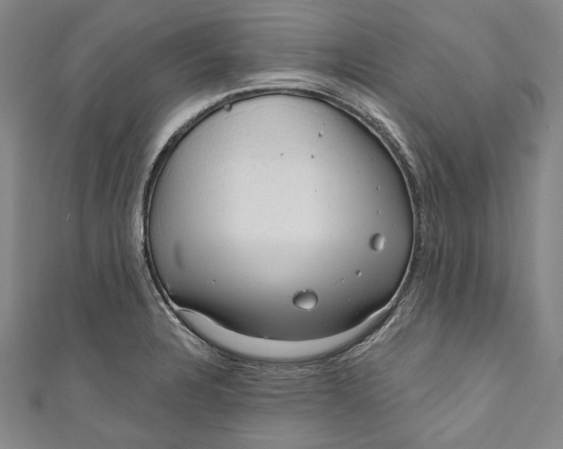 X0000111201328200907221122