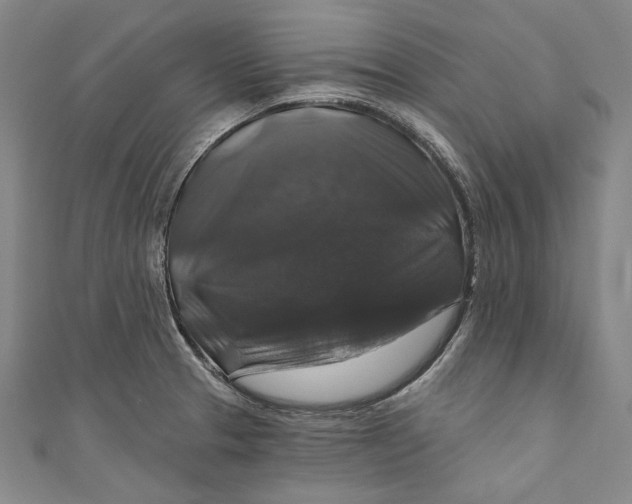 X0000111201329200907221122