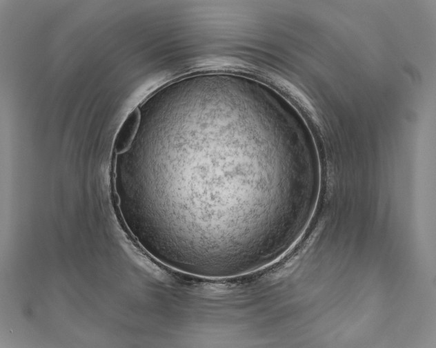 X0000111201330200907221122