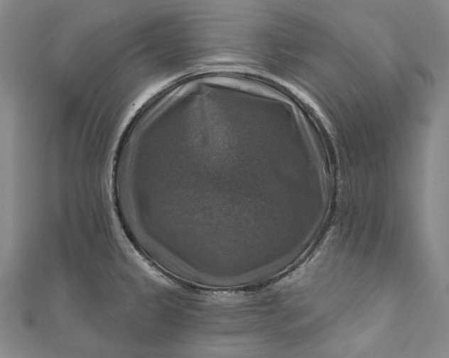 X0000111201333200907221122