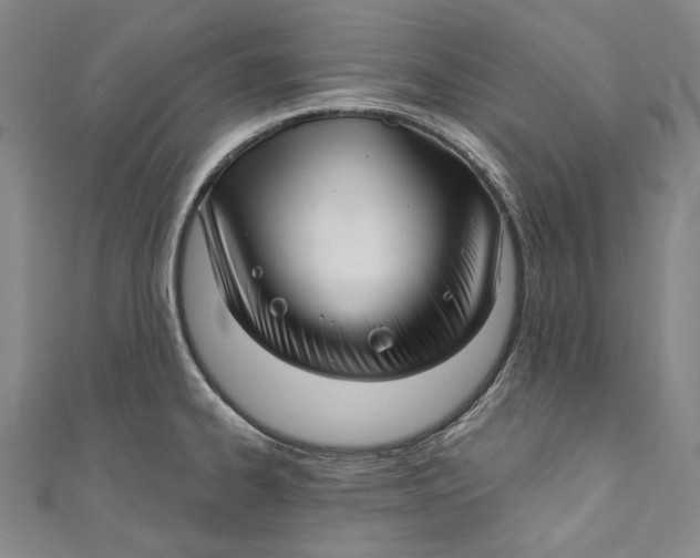 X0000111201334200907221122