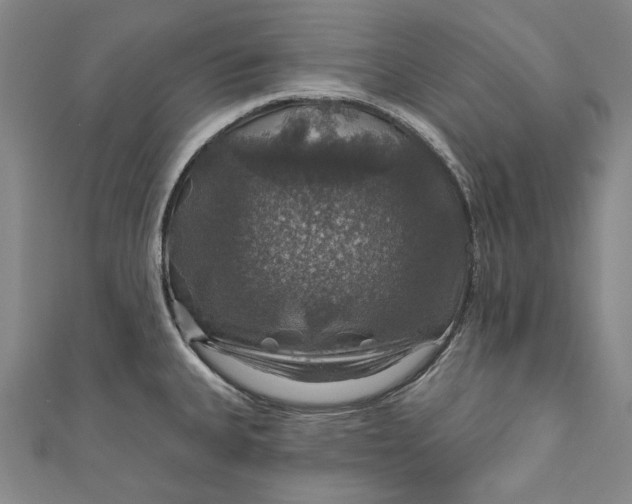 X0000111201335200907221122