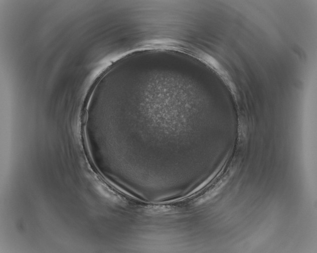 X0000111201336200907221122