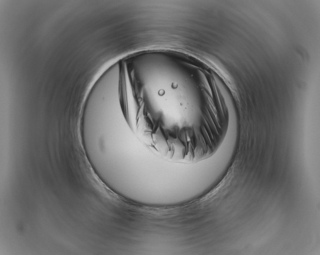 X0000111201340200907221122