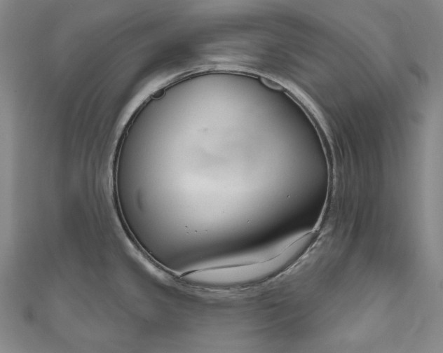 X0000111201341200907221122