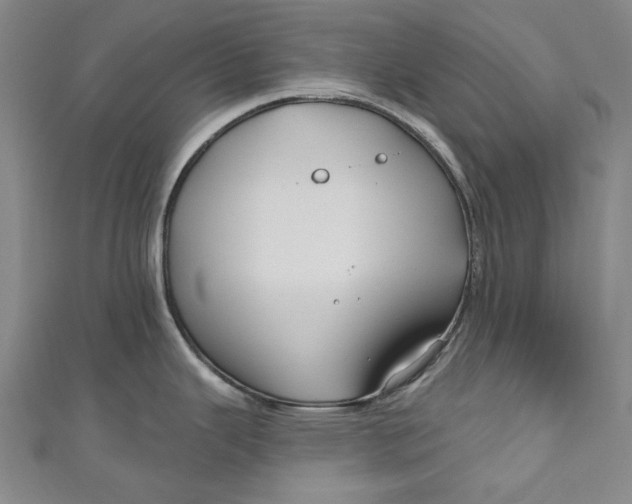 X0000111201343200907221122