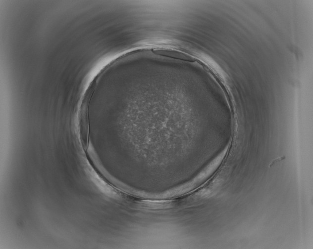 X0000111201344200907221122