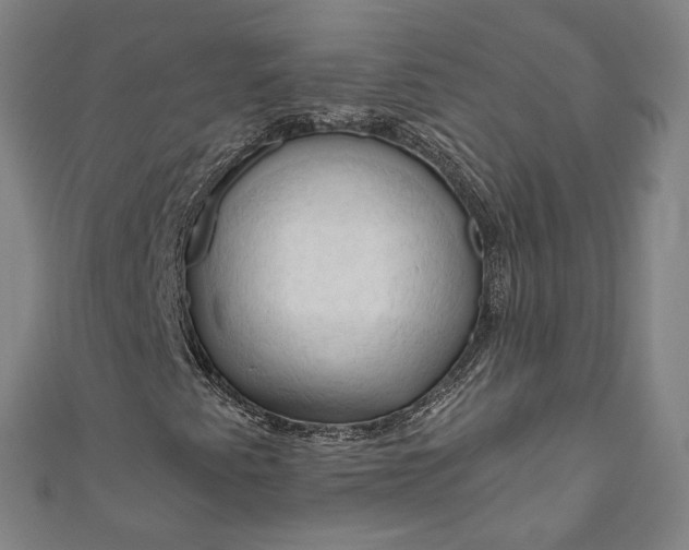 X0000111201345200907221121